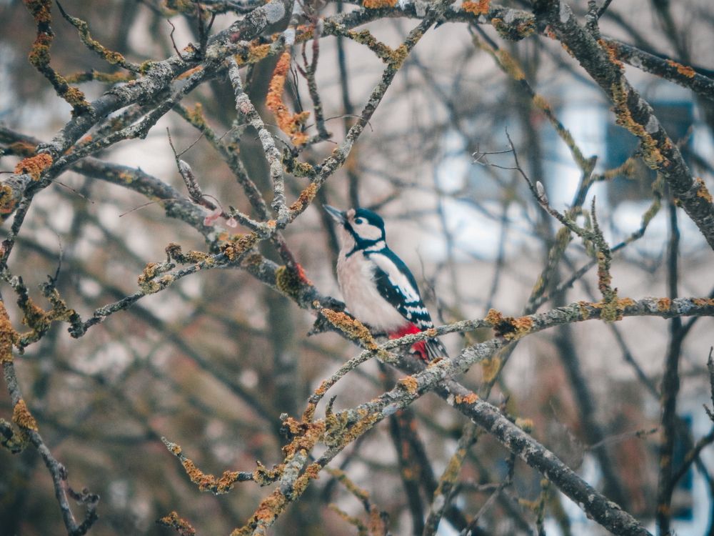 Photograph by Alexey Nuzha