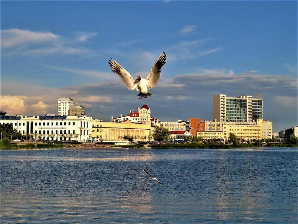 Photograph by Ольга Митрофанова