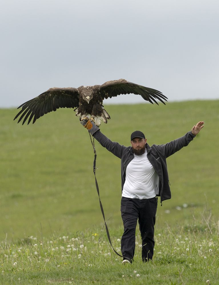 Photograph by Анатолий Макоедов