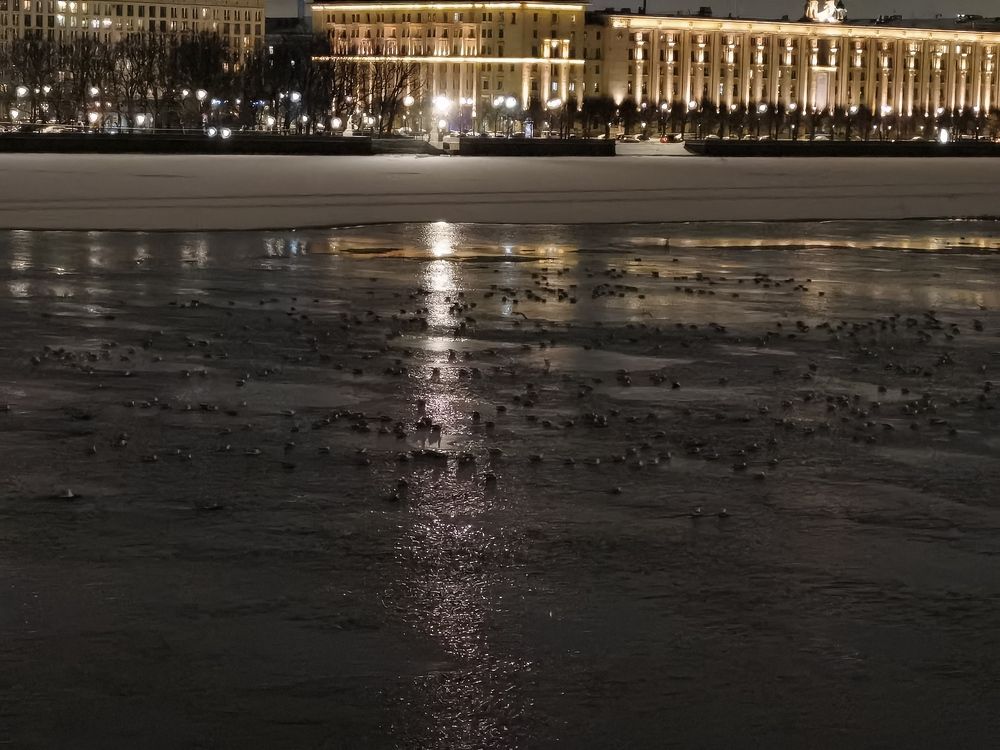 Photograph by Виталий Кореньков