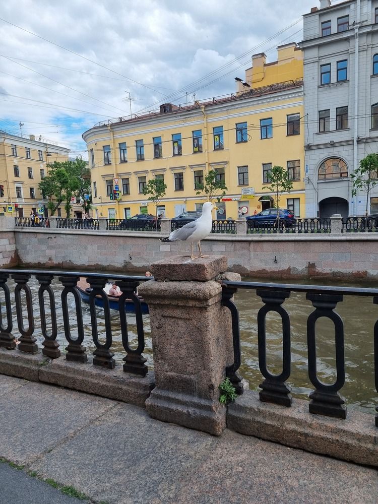 Photograph by Наталья Королева
