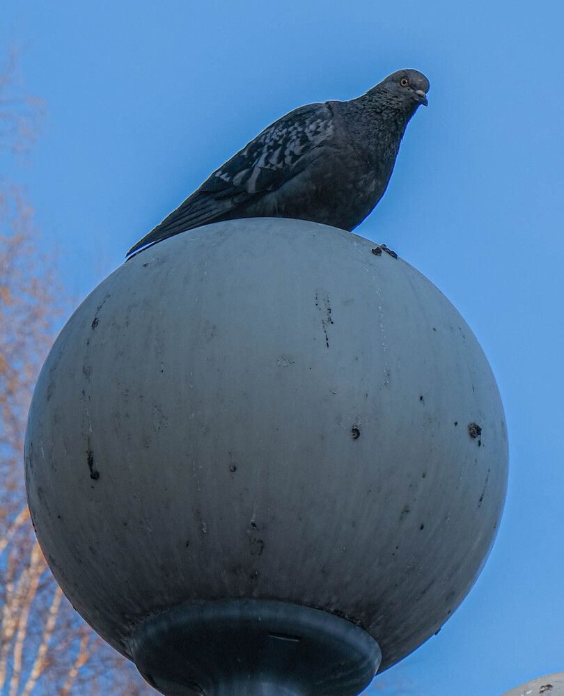 Photograph by Альберт Габбасов