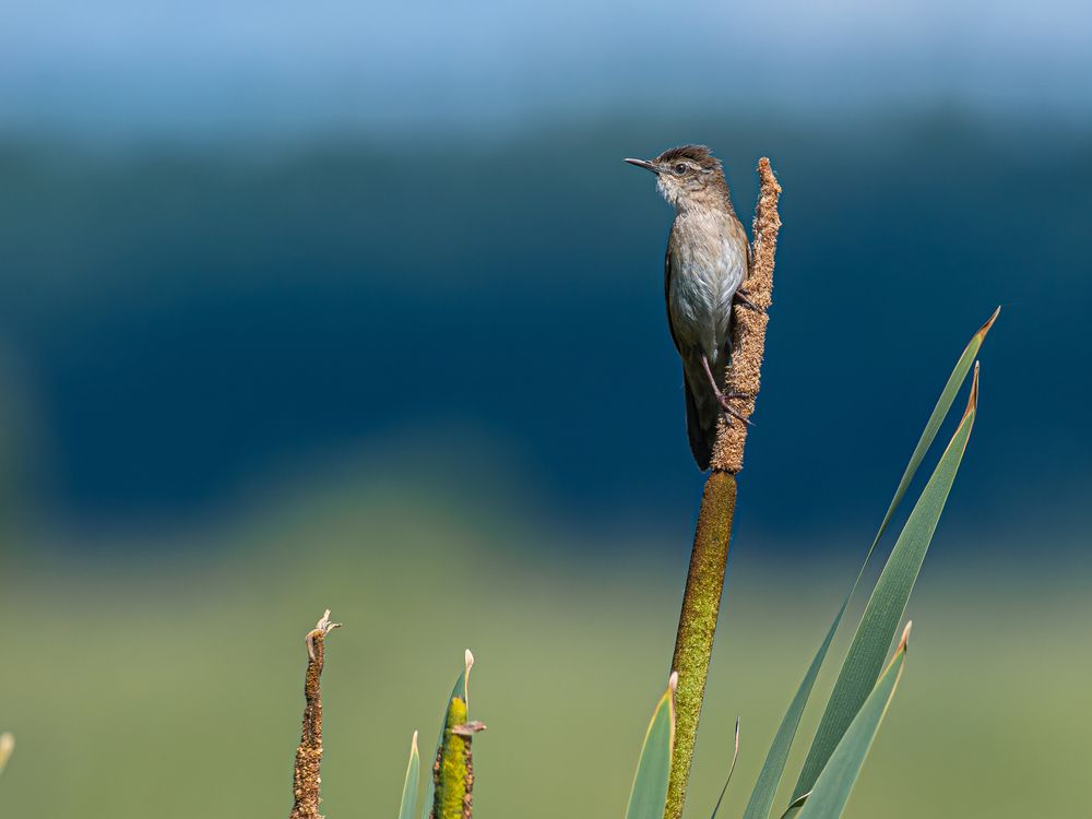 Photograph by Николай Абакумов