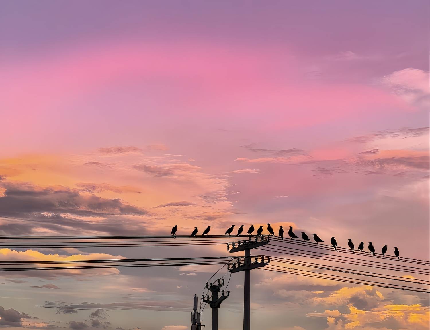 Twilight Chorus