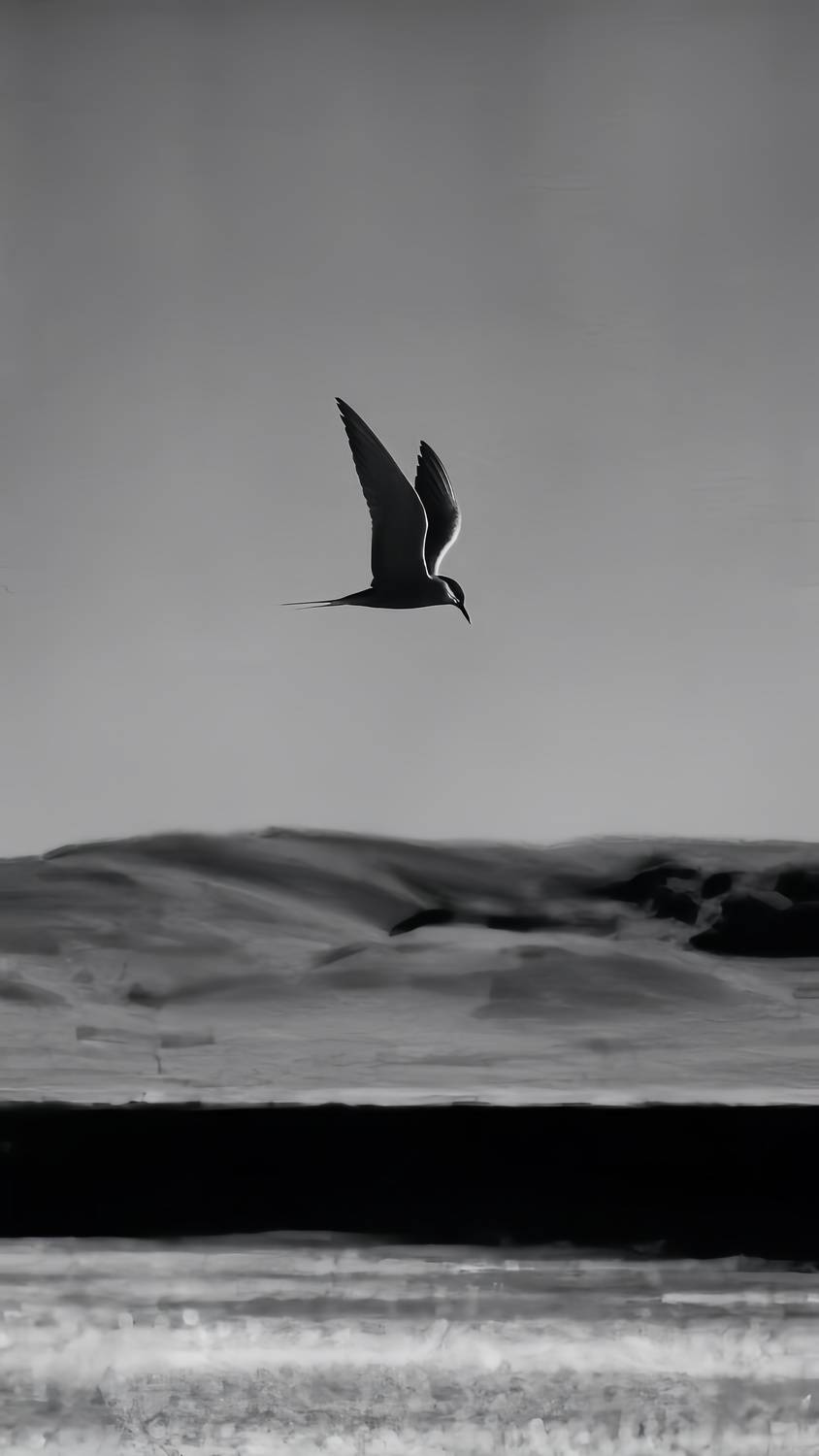Freedom in Flight