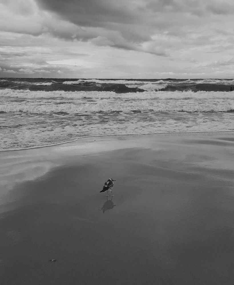 Photograph by Елена Пикатова