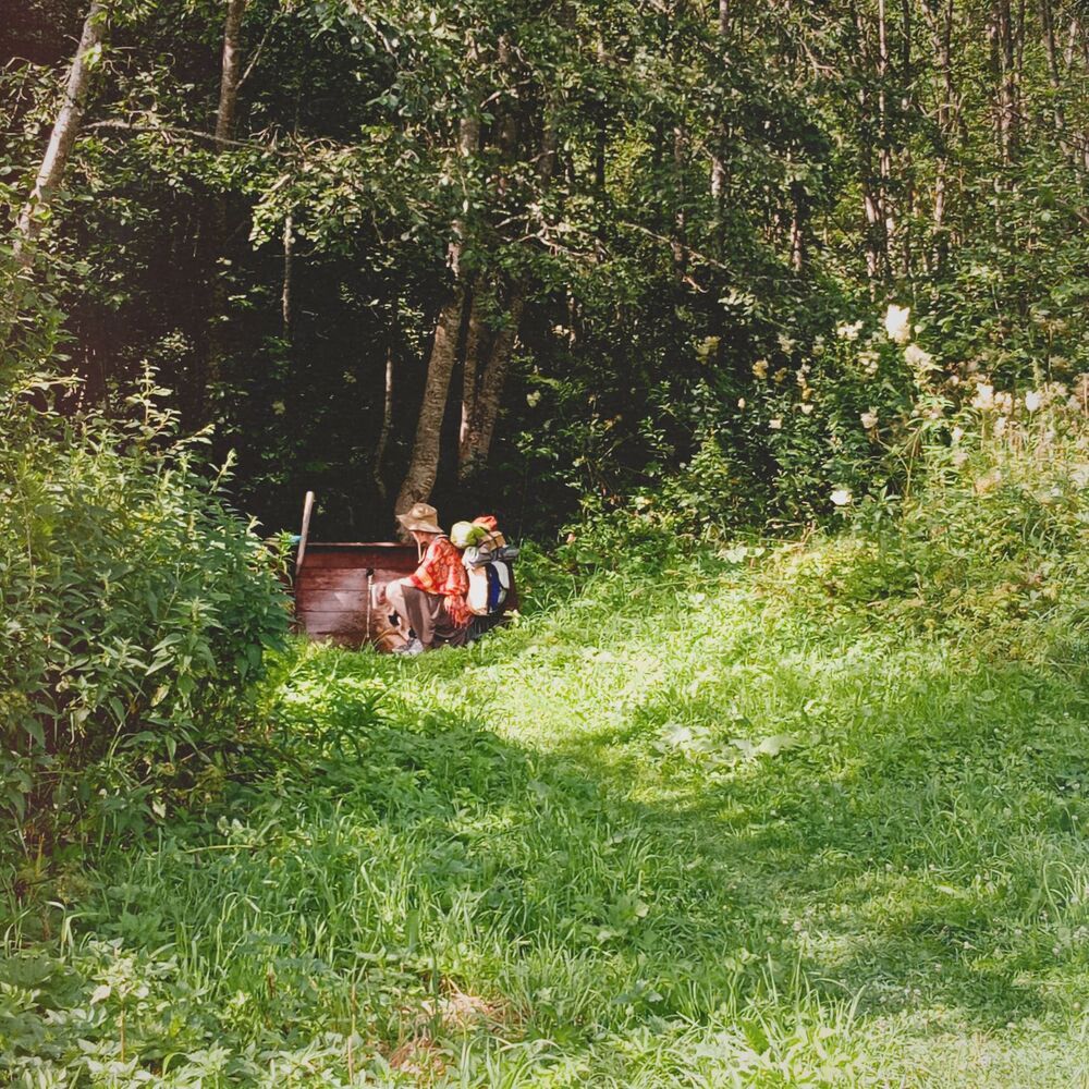Photograph by Дарья Домбровская