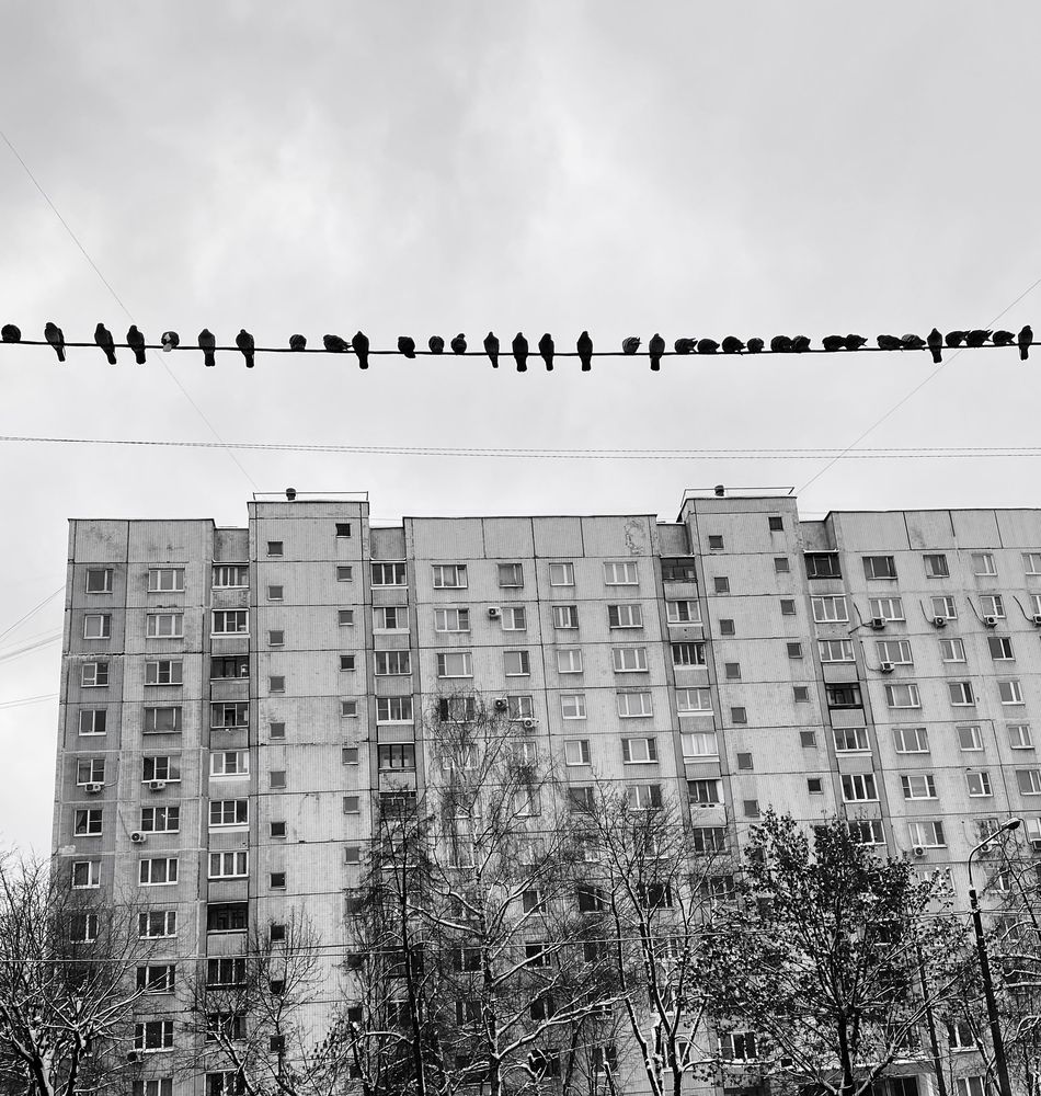 Фотография автора Галина Зубрикова