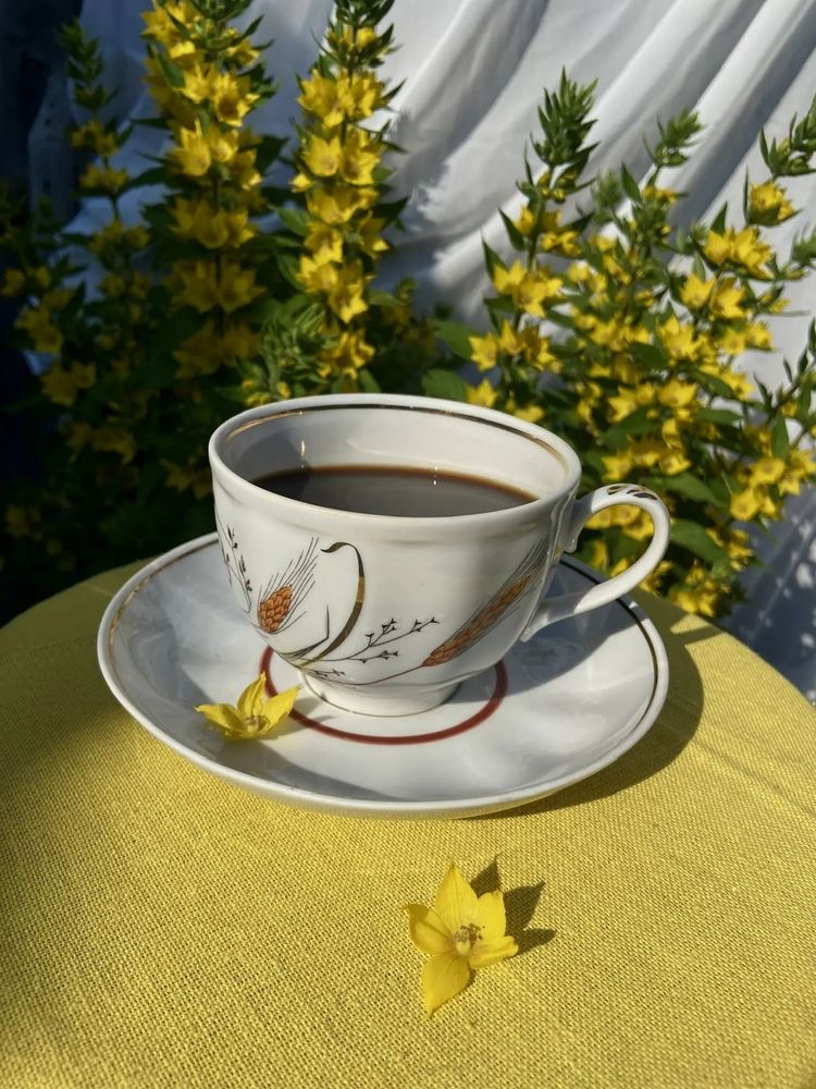 Photograph by Татьяна Савранчук