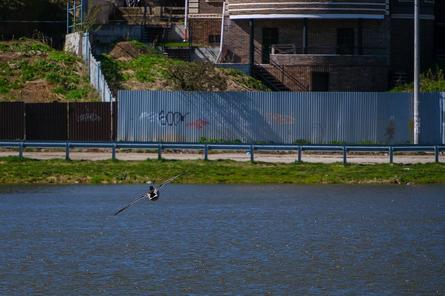 Photo #13702341