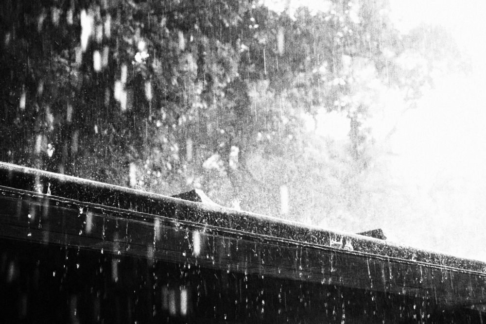 Rainy Roof