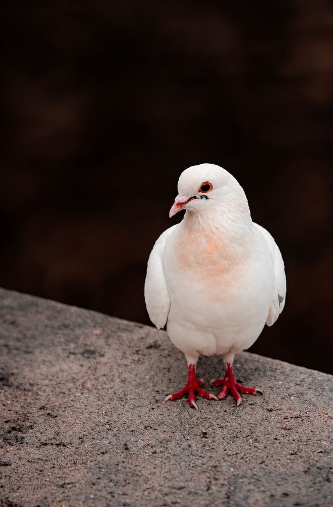 Photograph by Hicham Chraibi