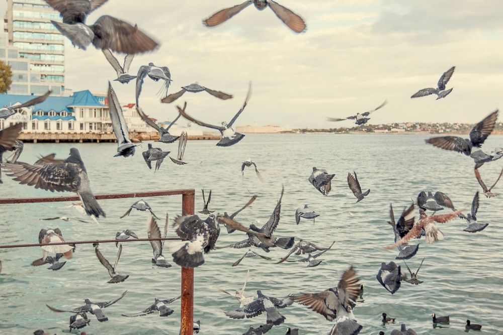 Photograph by Антонина Кузнецова