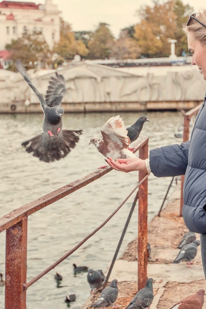 Photograph by Антонина Кузнецова
