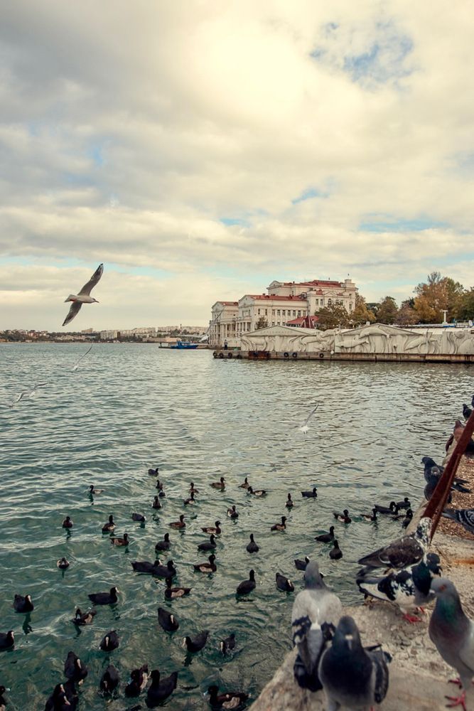 Photograph by Антонина Кузнецова