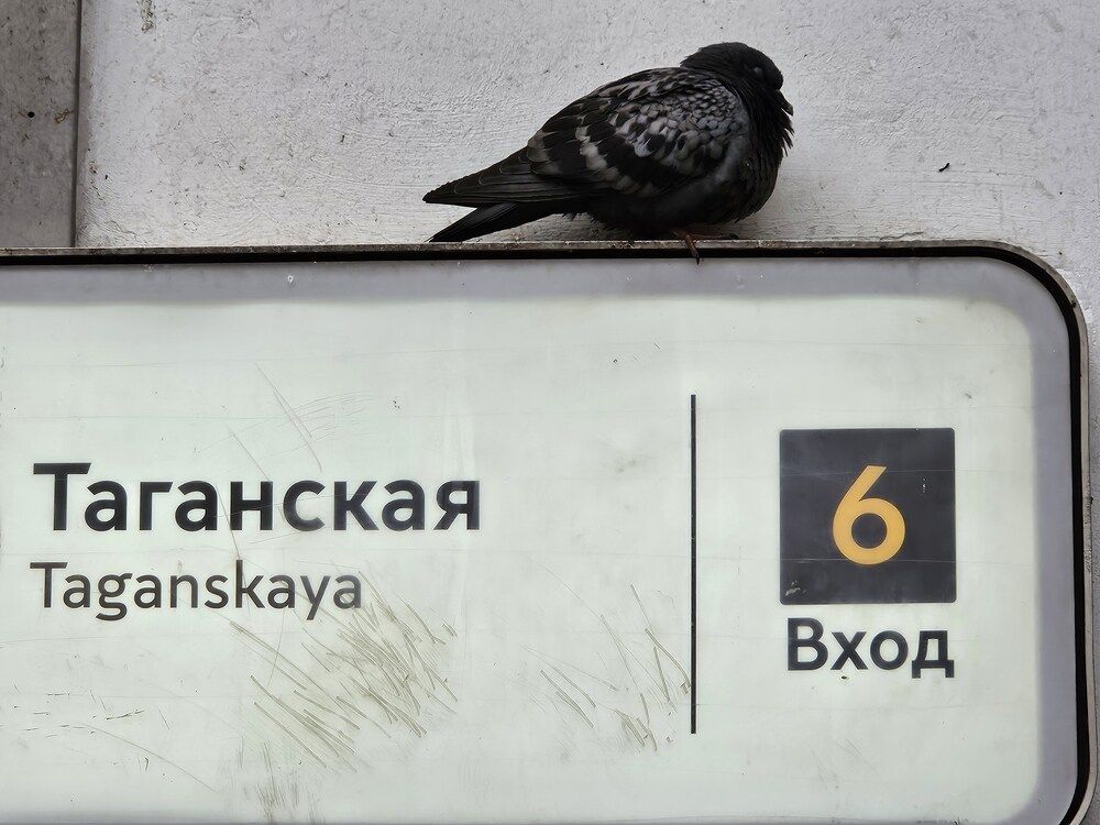 Спокойного сна!