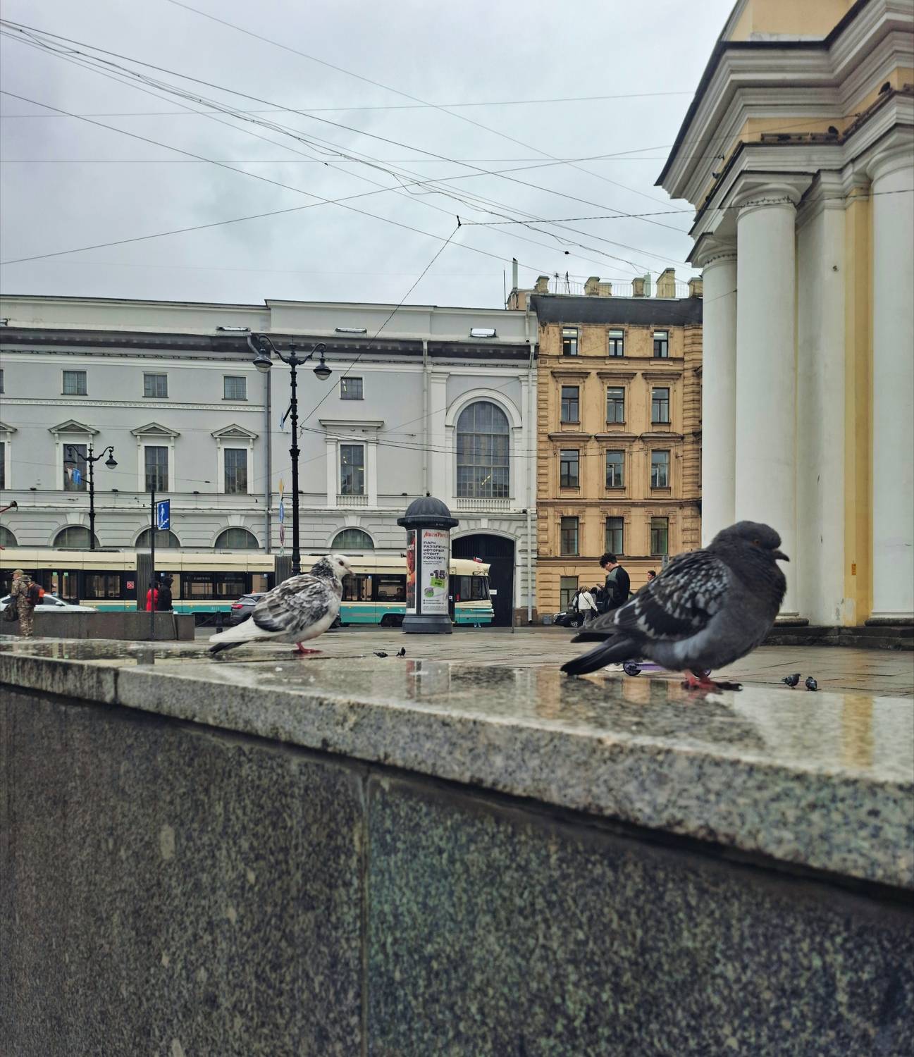 Photo #13702648