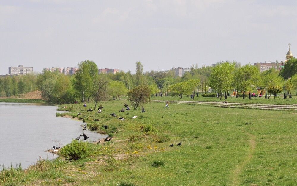 Photograph by Владимир Себякин