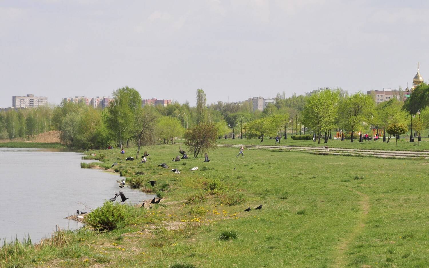 Photo #13702673