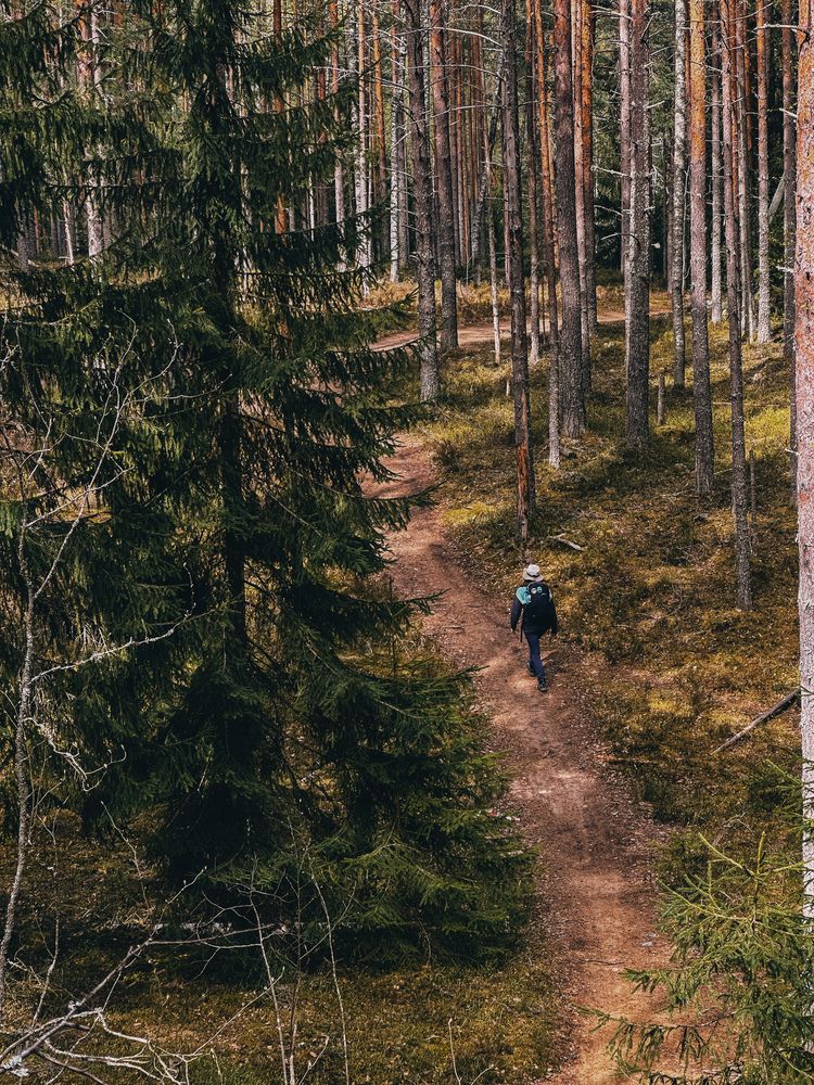 Photograph by Анна Титова