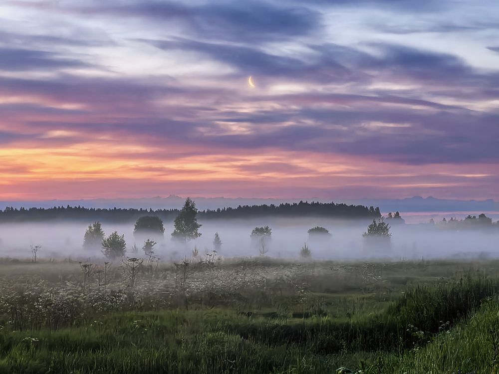 Photograph by Александр Порохов