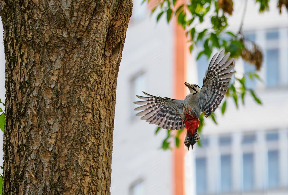 Photograph by Виктор Зайцев