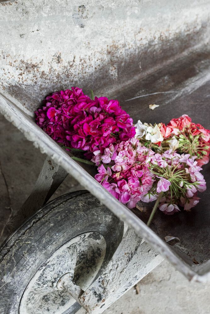 Photograph by Anna Gancheva