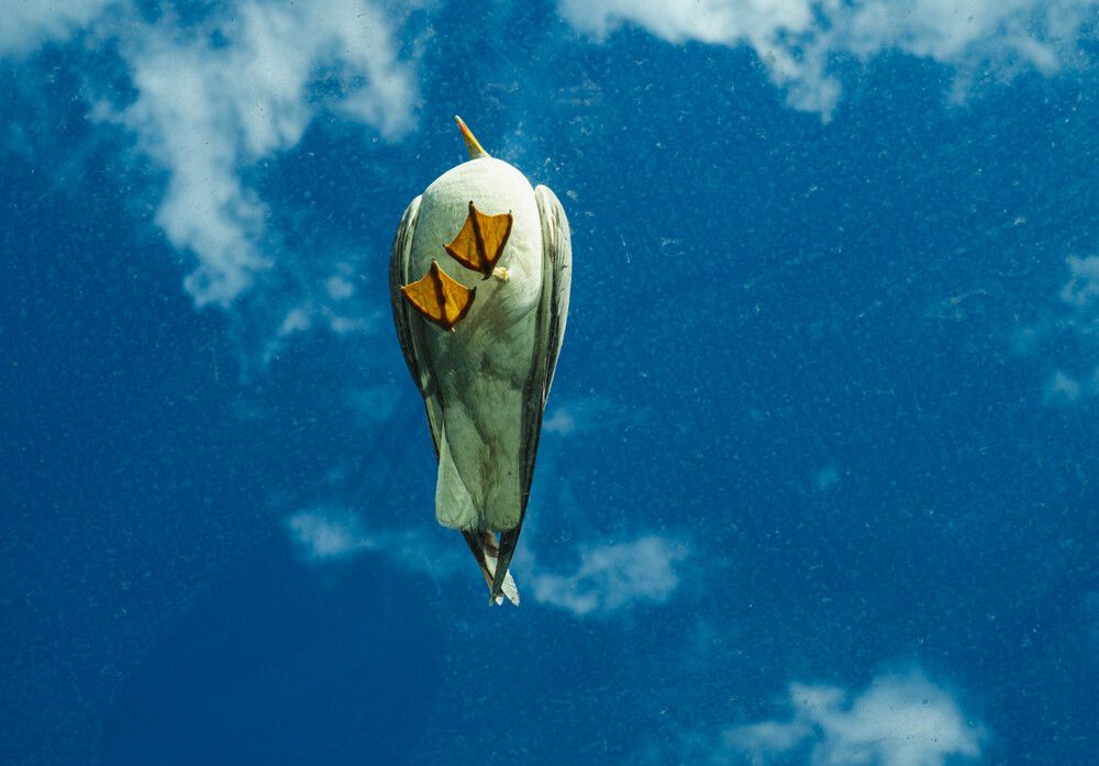 Photograph by Hakan Tunc