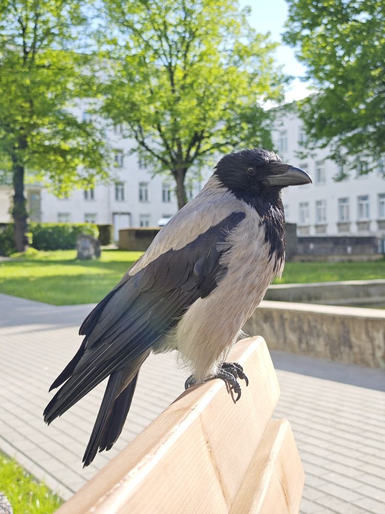 Photograph by Ljubov Trombovetskaja