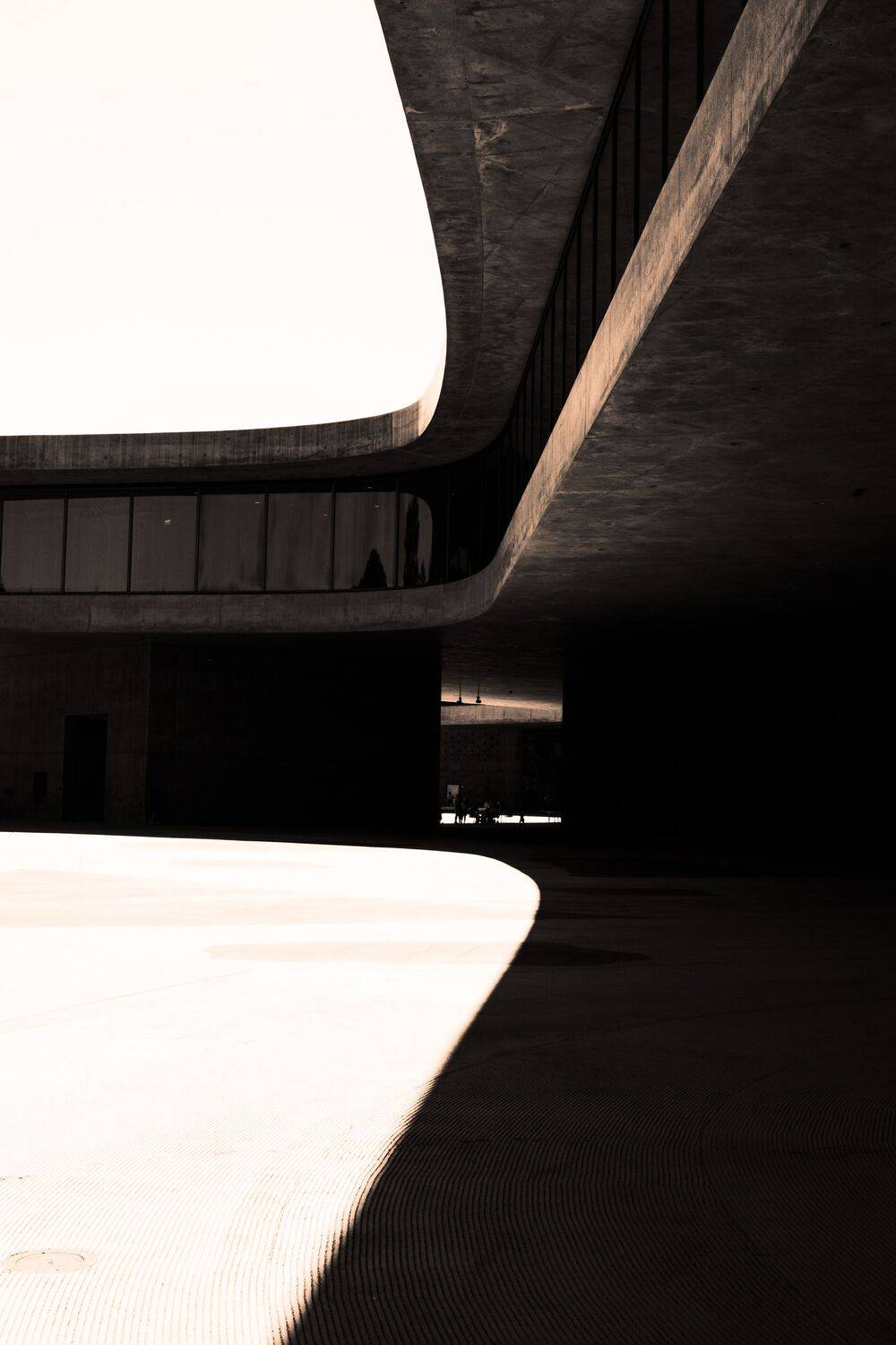 Curved roof Curved roof