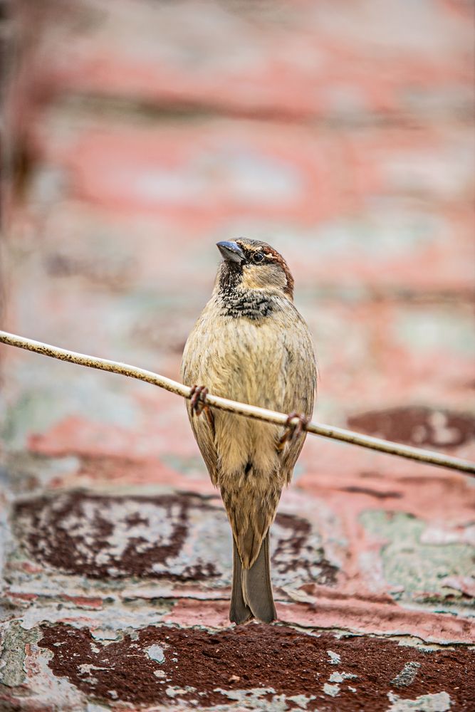 Photograph by Лупина Михаил