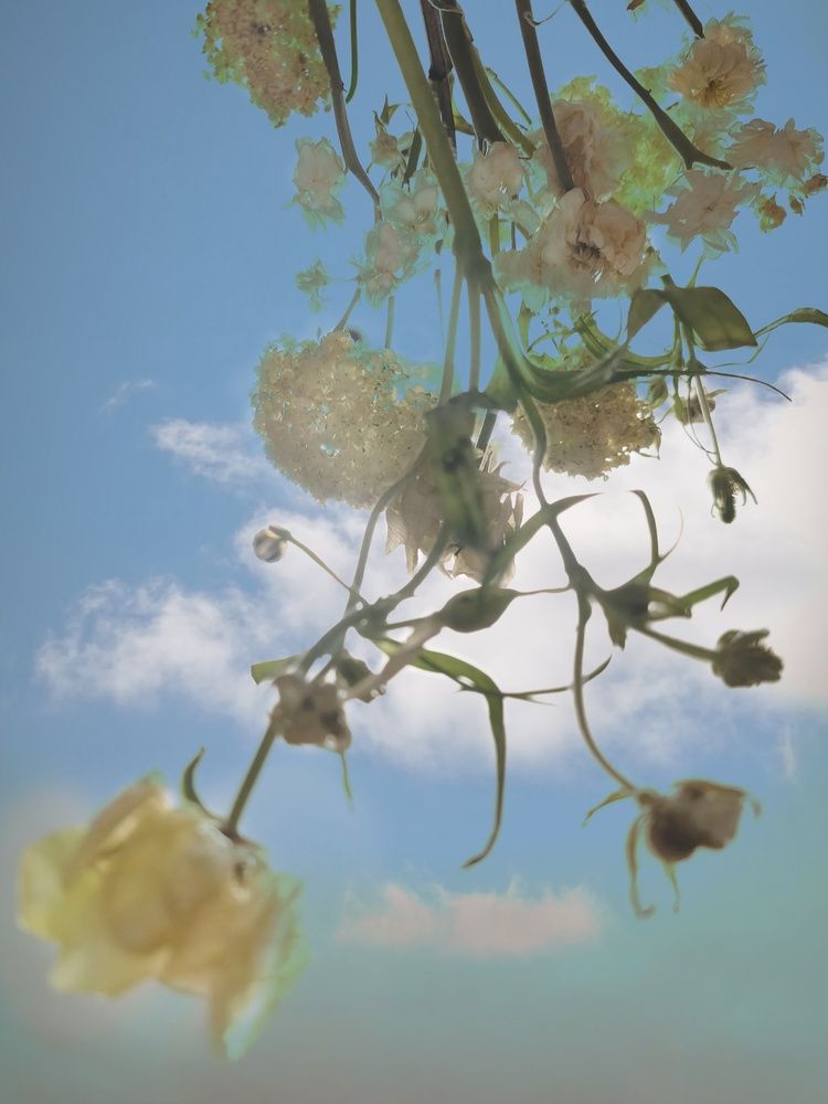 Photograph by Наталья Силантьева