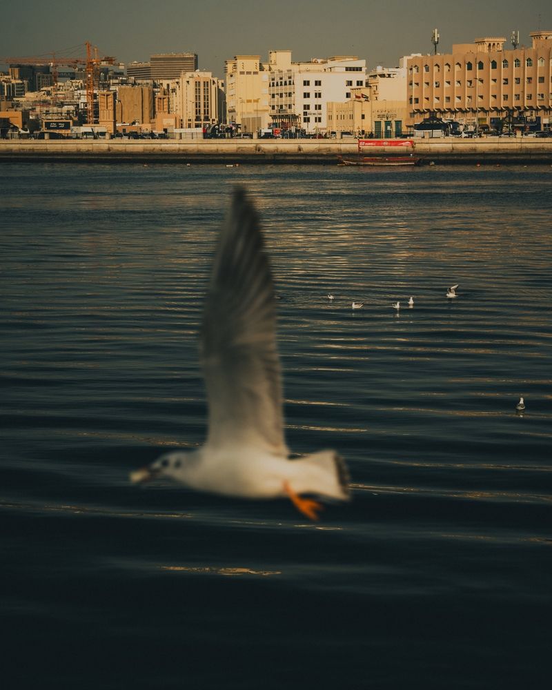 Between the city and the sea