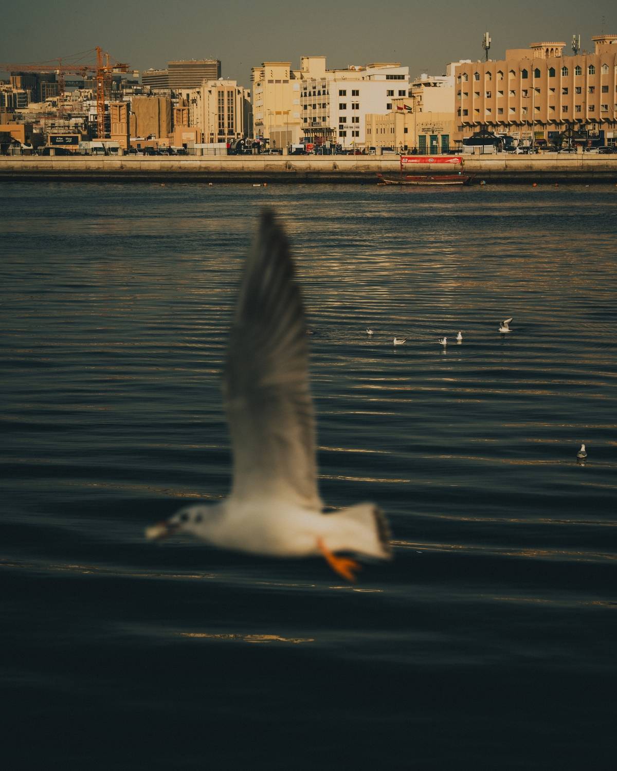 Between the city and the sea