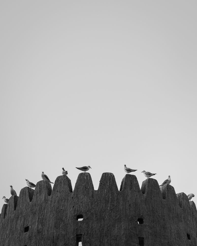 Guardians of the Skyline