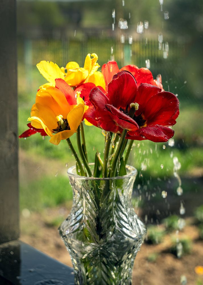 Photograph by Светлана Волкова