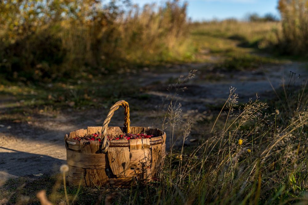 Photograph by Светлана Волкова