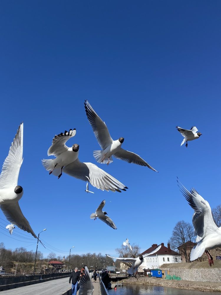 Photograph by Елизавета Корнилова