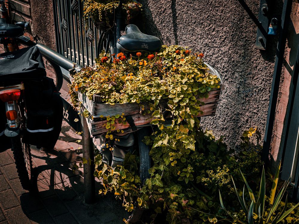 Photograph by Lina Slavinskaya