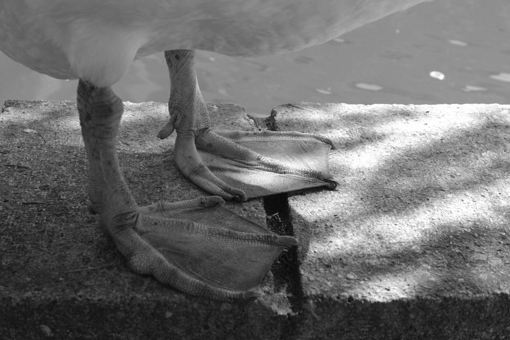 Photograph by Алёна