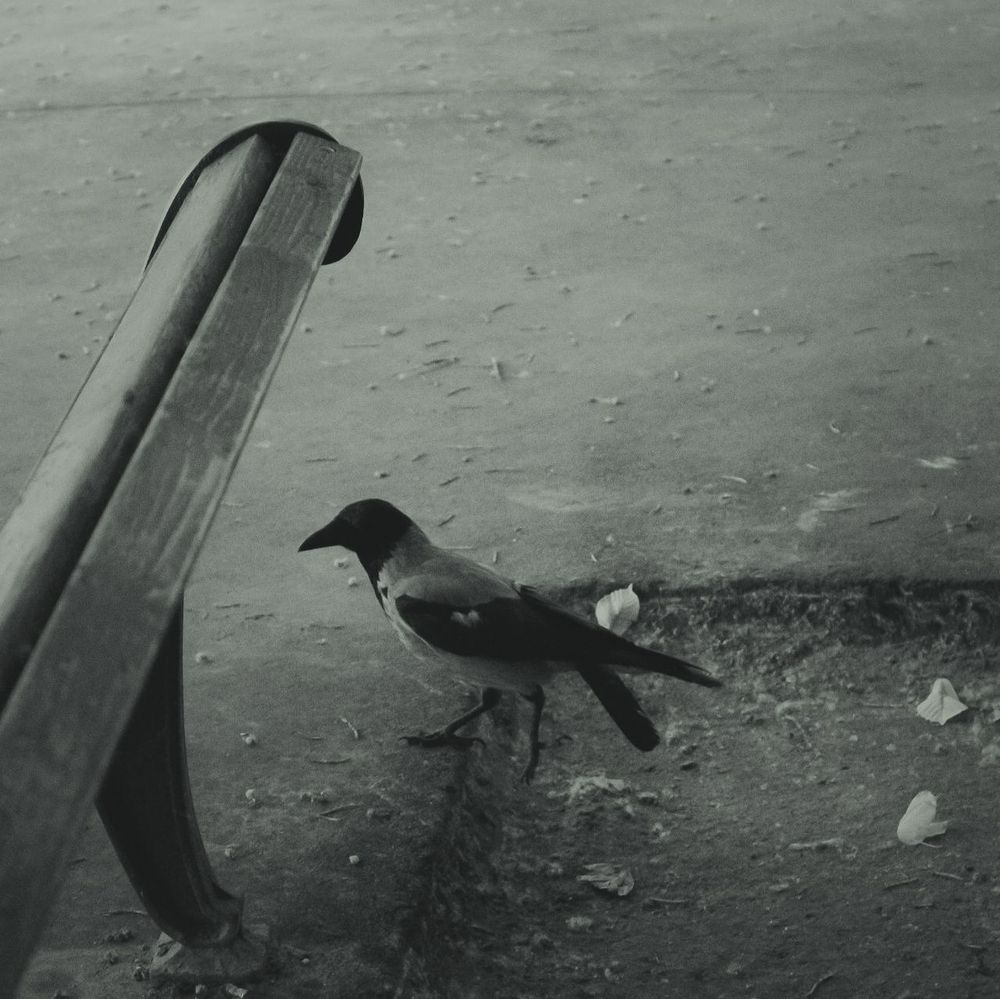 Photograph by Анна Бушина