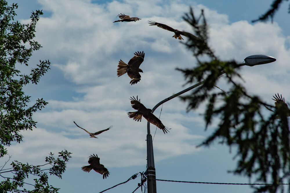 Photograph by Евгений Авдеев