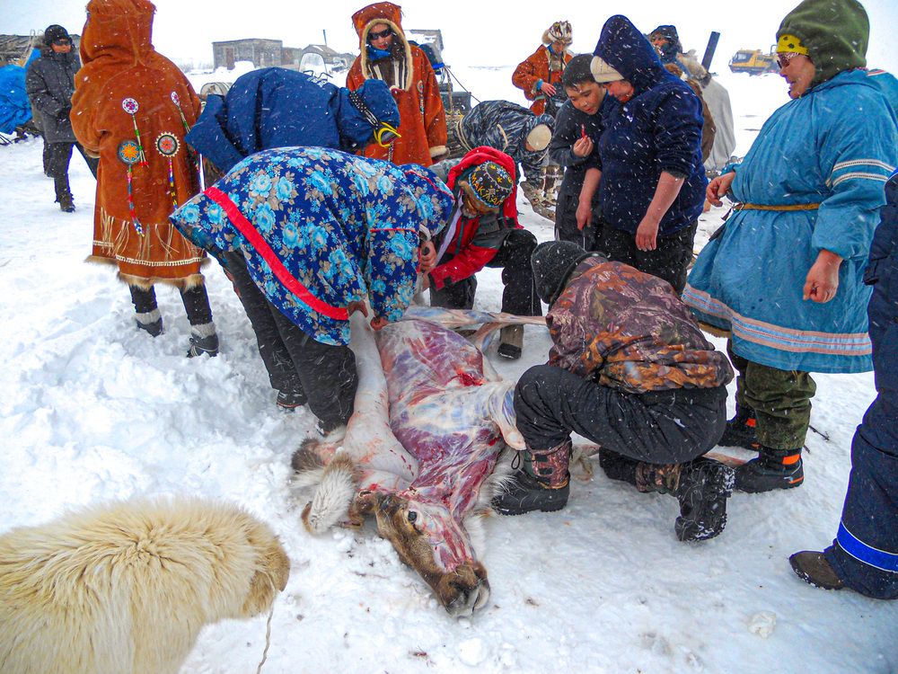В Камчатской тундре