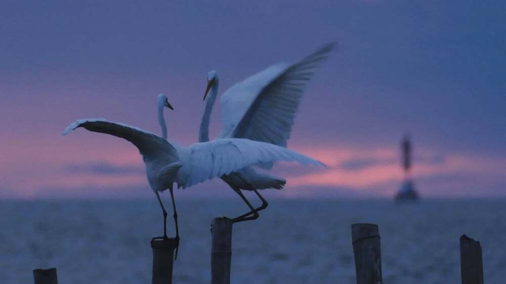 Photograph by Владимир Зубанков