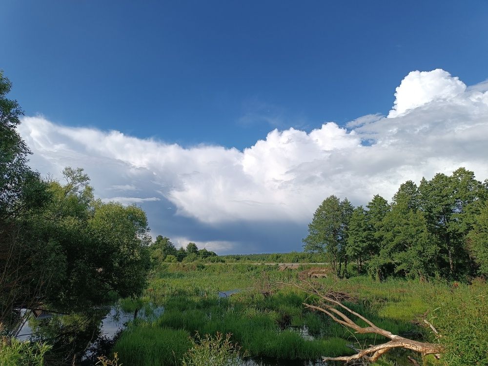Photograph by ЮЛИЯ ОБРОКОВА