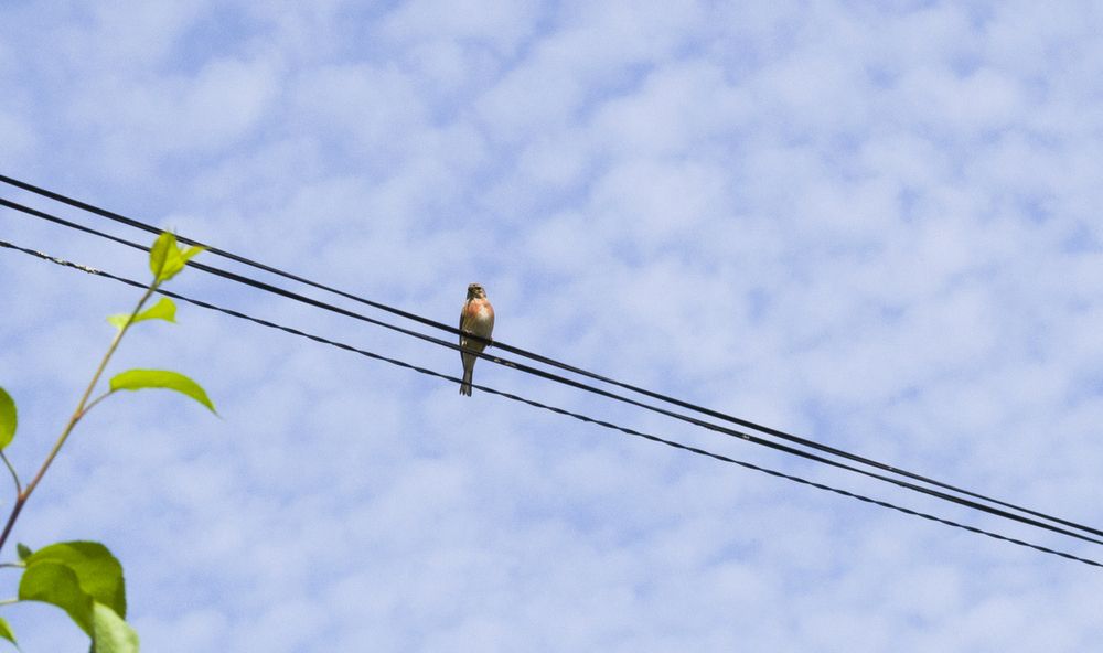 Photograph by Елизавета Большакова