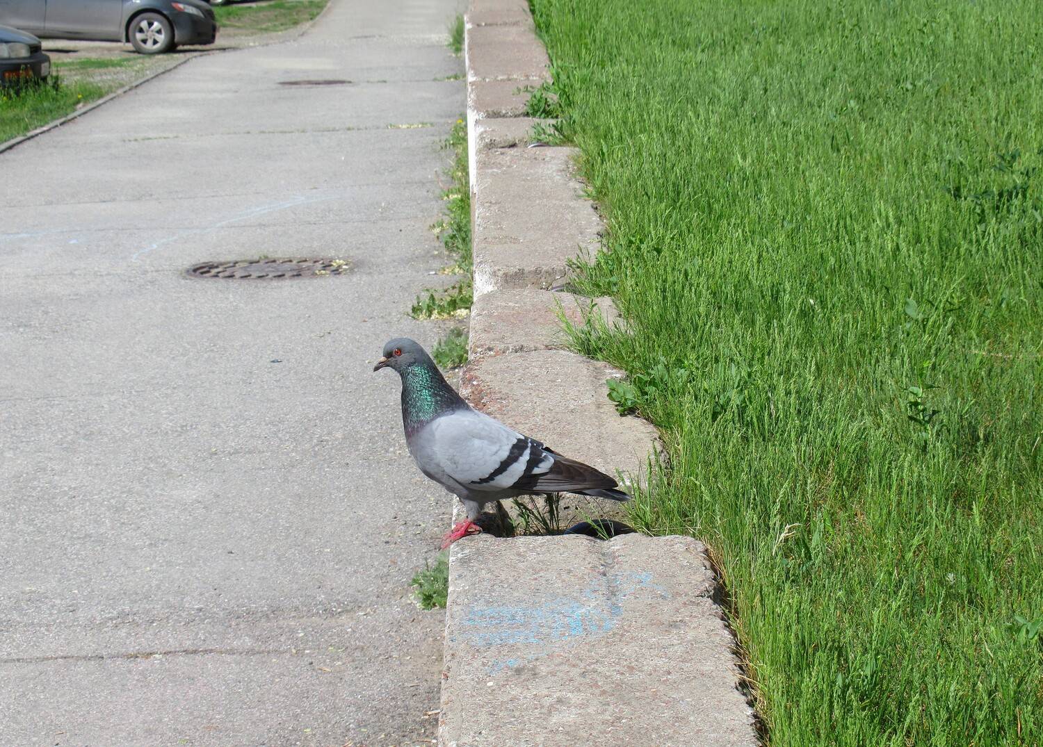 Photo #13703211