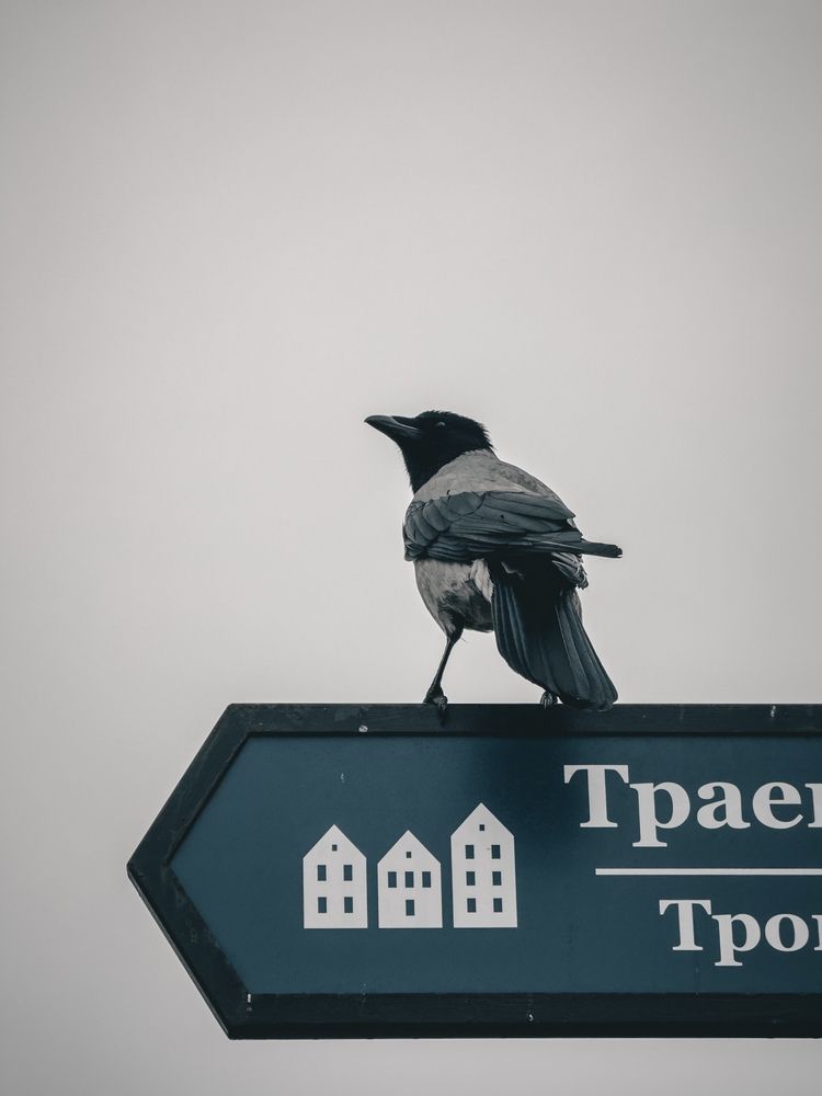 Photograph by Alexey Nuzha
