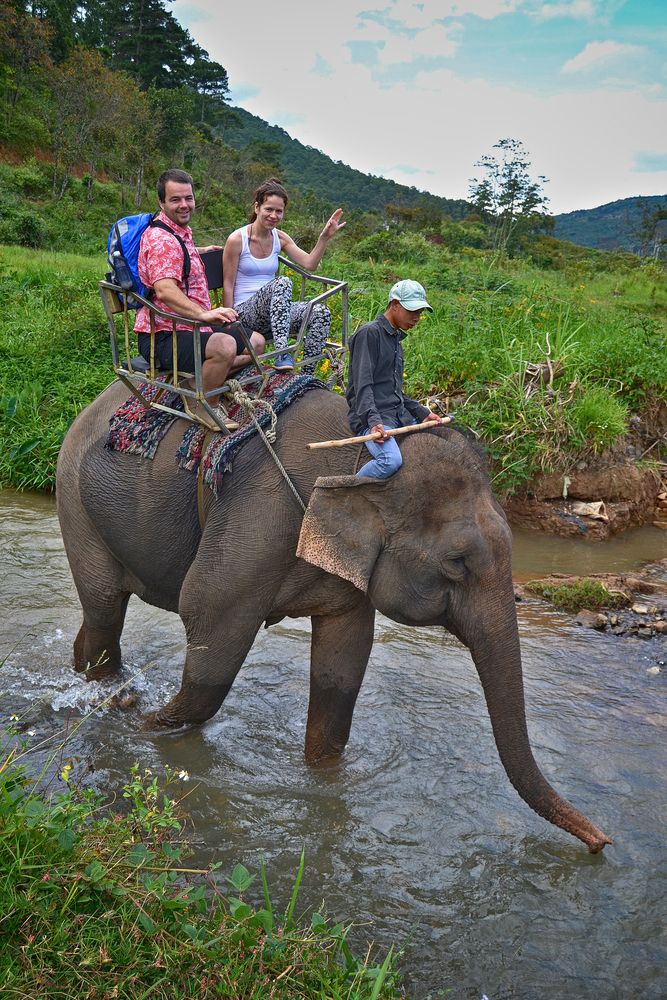 Photo #13703249