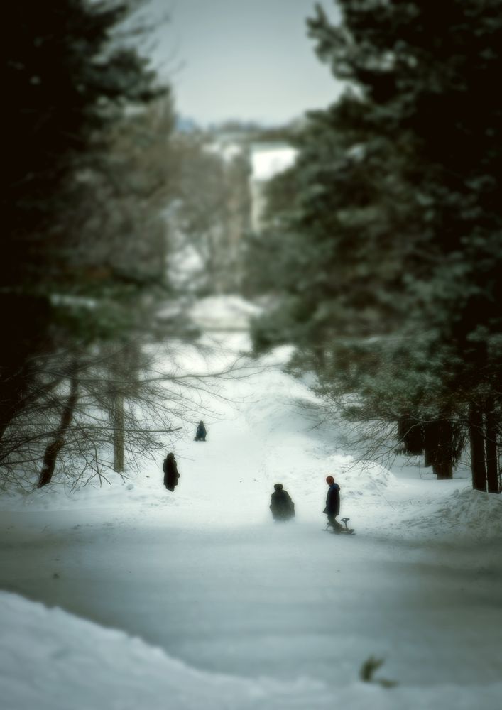 Photograph by Таращук Евгений